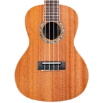 Logo of My Ukulele android Application 